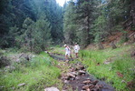 photo thumbnail #2