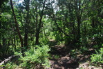 photo thumbnail #13