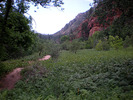 photo thumbnail #5