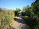 photo thumbnail #7