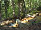 photo thumbnail #1