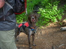 photo thumbnail #2