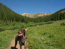 photo thumbnail #4