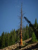 photo thumbnail #9