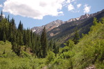 photo thumbnail #8