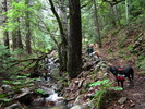 photo thumbnail #5