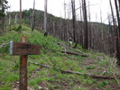 photo thumbnail #8