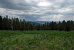 photo thumbnail #7