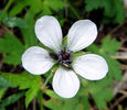 photo thumbnail #14