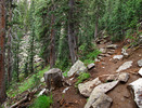 photo thumbnail #4