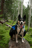 photo thumbnail #1