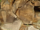 photo thumbnail #9