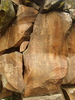 photo thumbnail #11