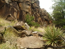 photo thumbnail #15
