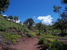photo thumbnail #12