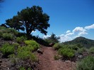 photo thumbnail #13
