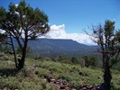 photo thumbnail #14