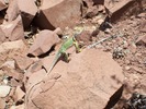 photo thumbnail #12