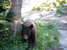 photo thumbnail #2