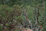 photo thumbnail #14