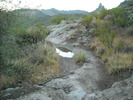 photo thumbnail #2