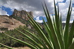 photo thumbnail #4