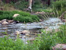 photo thumbnail #3