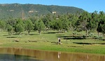 photo thumbnail #3