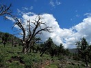 photo thumbnail #8
