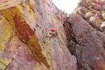 photo thumbnail #5