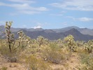 photo thumbnail #6