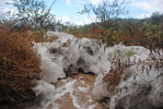 photo thumbnail #9