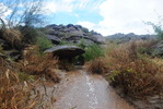 photo thumbnail #11