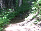photo thumbnail #11
