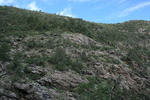 photo thumbnail #6