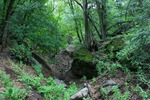 photo thumbnail #14