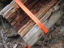 photo thumbnail #11