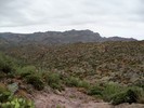 photo thumbnail #3