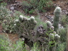 photo thumbnail #10