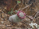 photo thumbnail #11