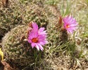 photo thumbnail #10
