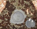 photo thumbnail #13