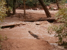photo thumbnail #9
