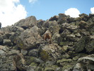 photo thumbnail #8