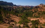 photo thumbnail #4