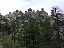 photo thumbnail #12