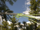 photo thumbnail #9