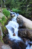 photo thumbnail #15