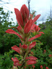 photo thumbnail #10