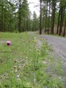 photo thumbnail #2